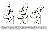 squat variants