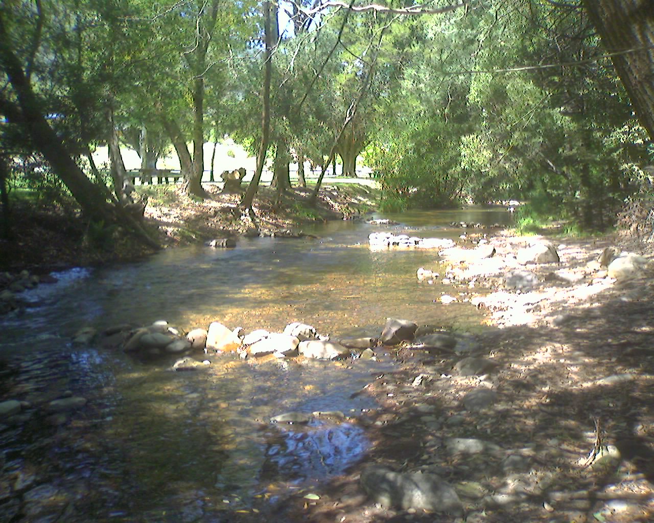 Ovens River at Harrietville