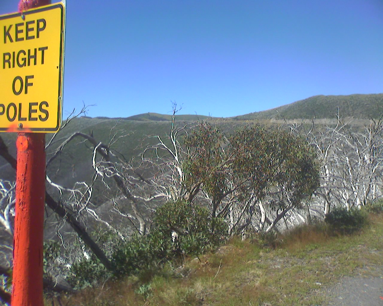 Hotham near the top